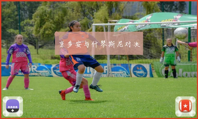 京多安与什琴斯尼对决