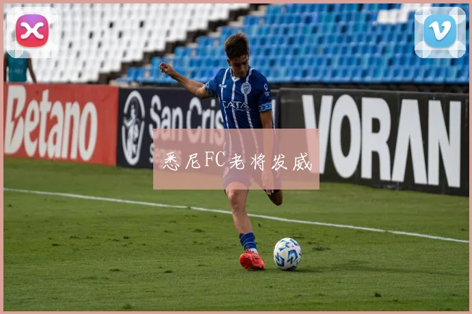 悉尼FC老将发威
