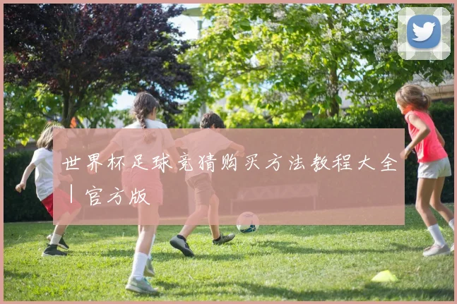 世界杯足球竞猜购买方法教程大全｜官方版